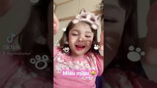 QUAL é o SOM que a GATINHA faz? 😸SONG Cat