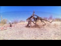 Un Dron sobre el  desierto de Sonora
