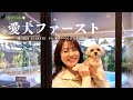 愛犬ファースト【離れ風月】