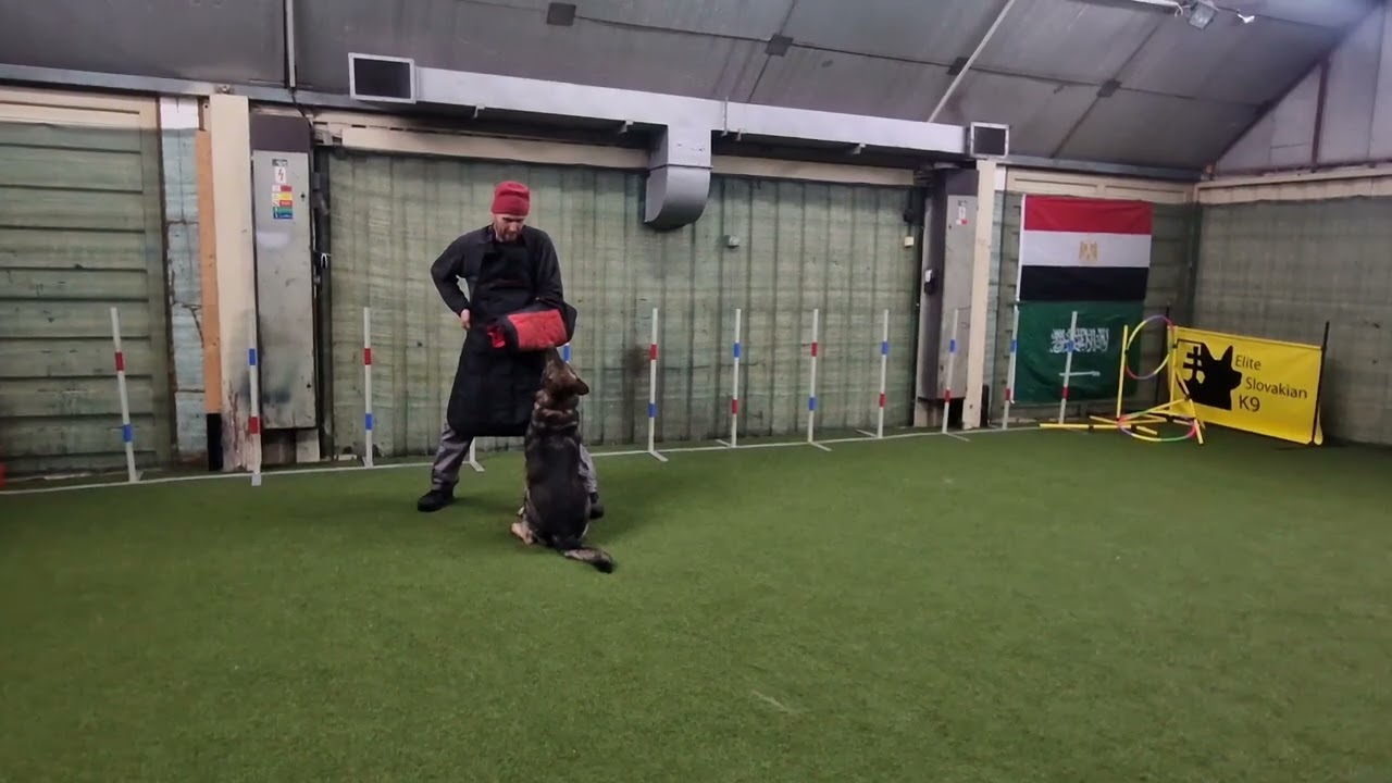 Cargo - protection work