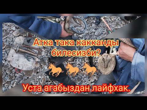 Video: Атты кантип жабыш керек: ыкмалар, ырааттуулук жана сунуштар