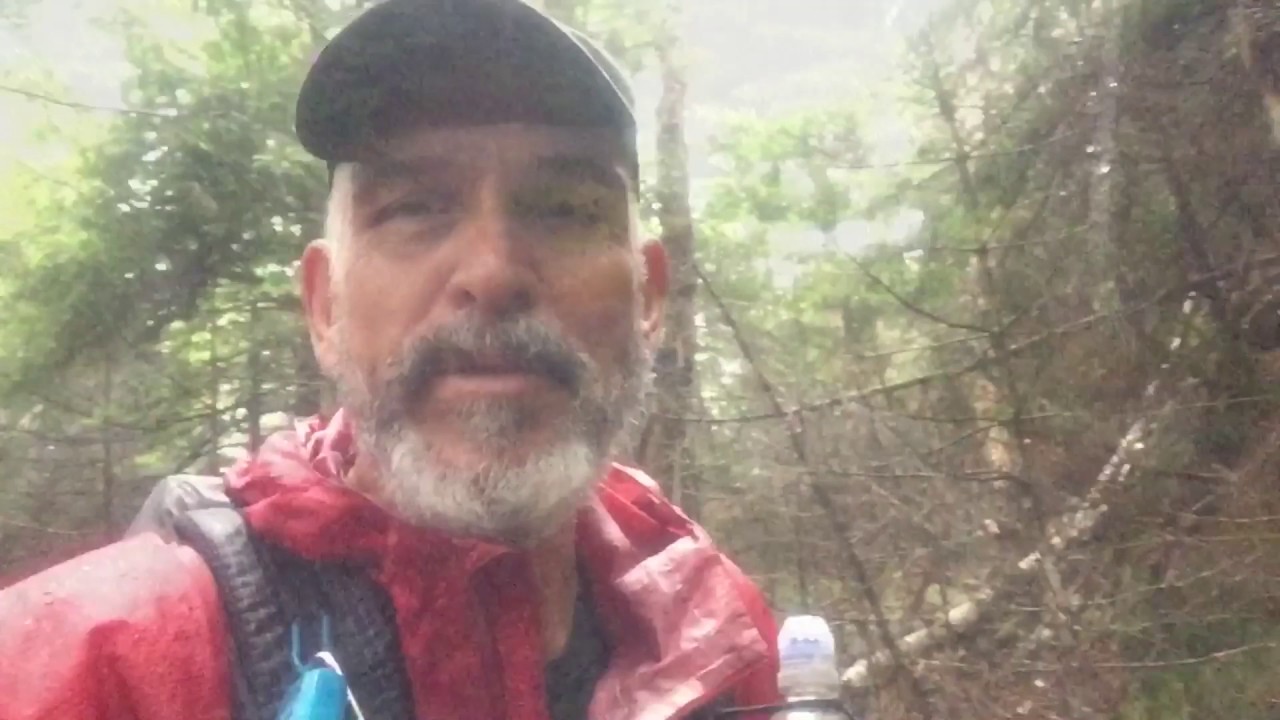 appalachian trail georgia Day 84, Gentian Pond Shelter to Full Goose Shelter, 9.6 miles