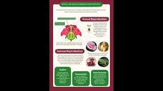 Sexual and Asexual Reproduction in Plants