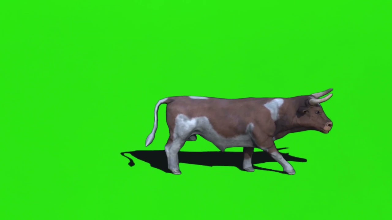 Cow 🐄🐮 Animated Green screen video with sound for editing || Cow HD green screen video