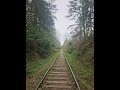 Train trestle at Green Lake with my best bro