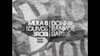 2. Donnie Bankoe Barkie - Mula B ft. LouiVos & 3Robi