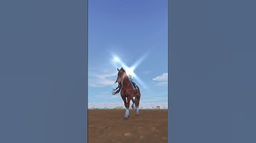 I can never choose what I want to do 🥹 Can you? #horses #starstableonline #edit