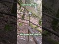 Canonteign Falls | Lady Exmouth Waterfall | Devon