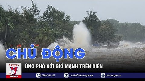 Chủ động ứng phó với gió mạnh trên biển - VNEWS