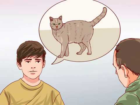 How to Hide a Pet from Your Parents