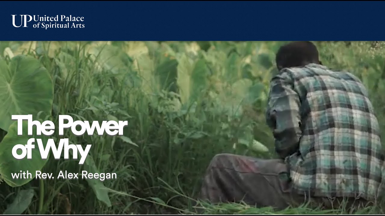 The Power of Why: The Power of Spiritual Artistry