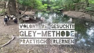 PermaTogo ökologischer Teichbau Gley Methode Schweinesuhle Naturteich permakultur Wasser Retention