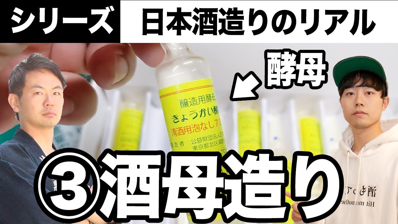 ③酒母造りに密着！日本酒造りのリアル(酔うちゅー部のSAKE)