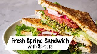 Fresh Spring Sandwich with Sprouts
