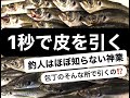 【まさに神業】たった１秒でアジの皮を綺麗に引く技！鮮魚屋のプロが教えます！