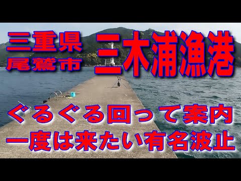 #5三重県三木浦漁港一度は来たい有名波止ぐるぐる回って案内イカ墨跡多数車横付け釣り波止が低いので安全家族連れサビキ釣りに良い三木浦マリンパーク養殖筏のペレットを粉にした練り餌で良く釣れる綺麗な海です