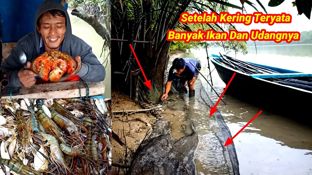 Saya Pasang Perangkap Dan Bermalam Sendiri Dapat Banyak Ikan Dan Udang Galah Langsung Masak