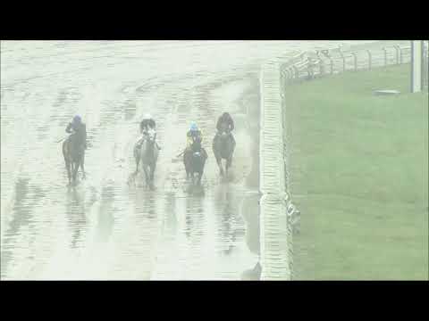 video thumbnail for MONMOUTH PARK 8-8-21 RACE 11 – THE OCEANPORT STAKES