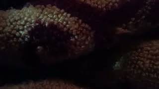 jiXXL XXL XXL XXL FREESTYLE 2024 |XXL 2025 | Xxwd5000xa | XXL XXL XXL XXL FREESTYLES