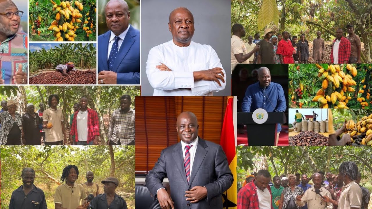 Atigya🔥Ahafo Cocoa Farmers Blast Npp-We Will Not Demostrate Against Prez Mahama & NDC Gov’t.Goaso Mp