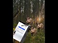 kolejny film dzisiaj😳😈