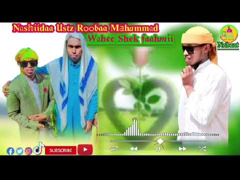 New Nashiidaa Hariyaa Roobaa Mahammad Ittii Dhihaadha Sher Waliif Godhaa Wal Biraan Naaf Gaha 2025 
