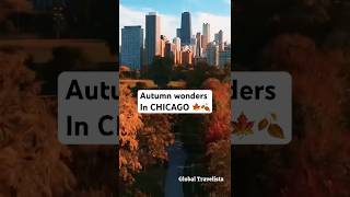See Why Everyone Loves Fall in Chicago 🍁