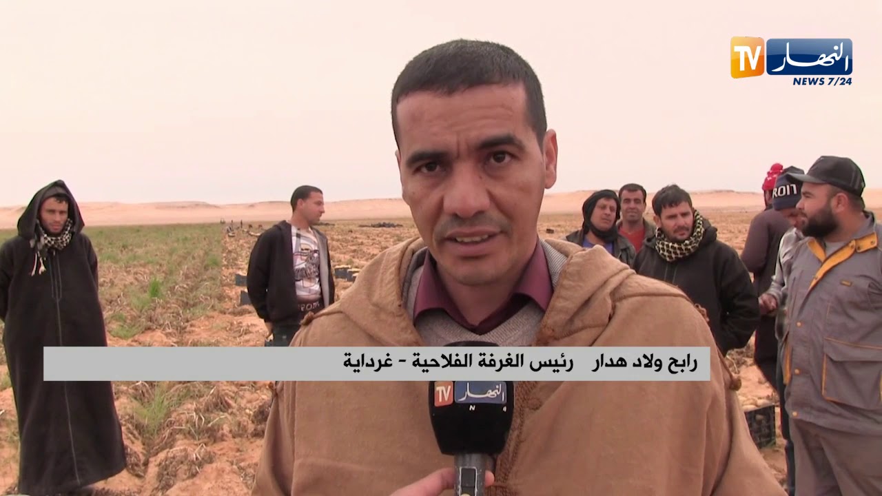 غرداية: إنتاج وفير لمادة البطاطا.. ومستثمرون يطالبون بفتح باب التصدير
