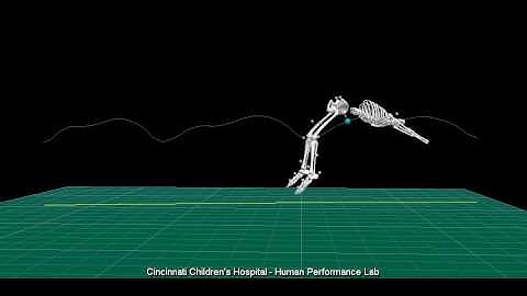 Body Center of Mass Example - Motion Analysis