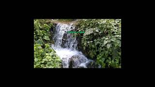 Here Is Primitive Mixing Technology (Water Mill). | #2