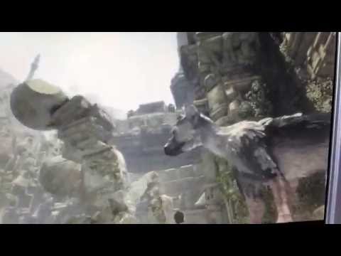 Russian Discussion: The Last Guardian PS4