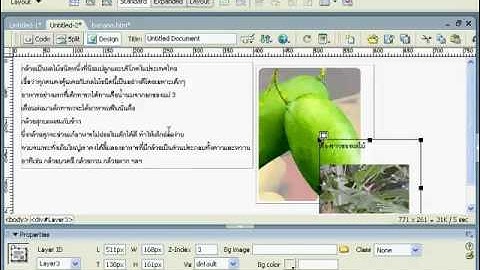 การใส่ Layer ลงเว็บเพจ dreamweaver