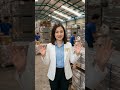 Kho hàng vách ngăn tấm compact luôn sẵn số lượng lớn #compacthpl #vachnganvesinh