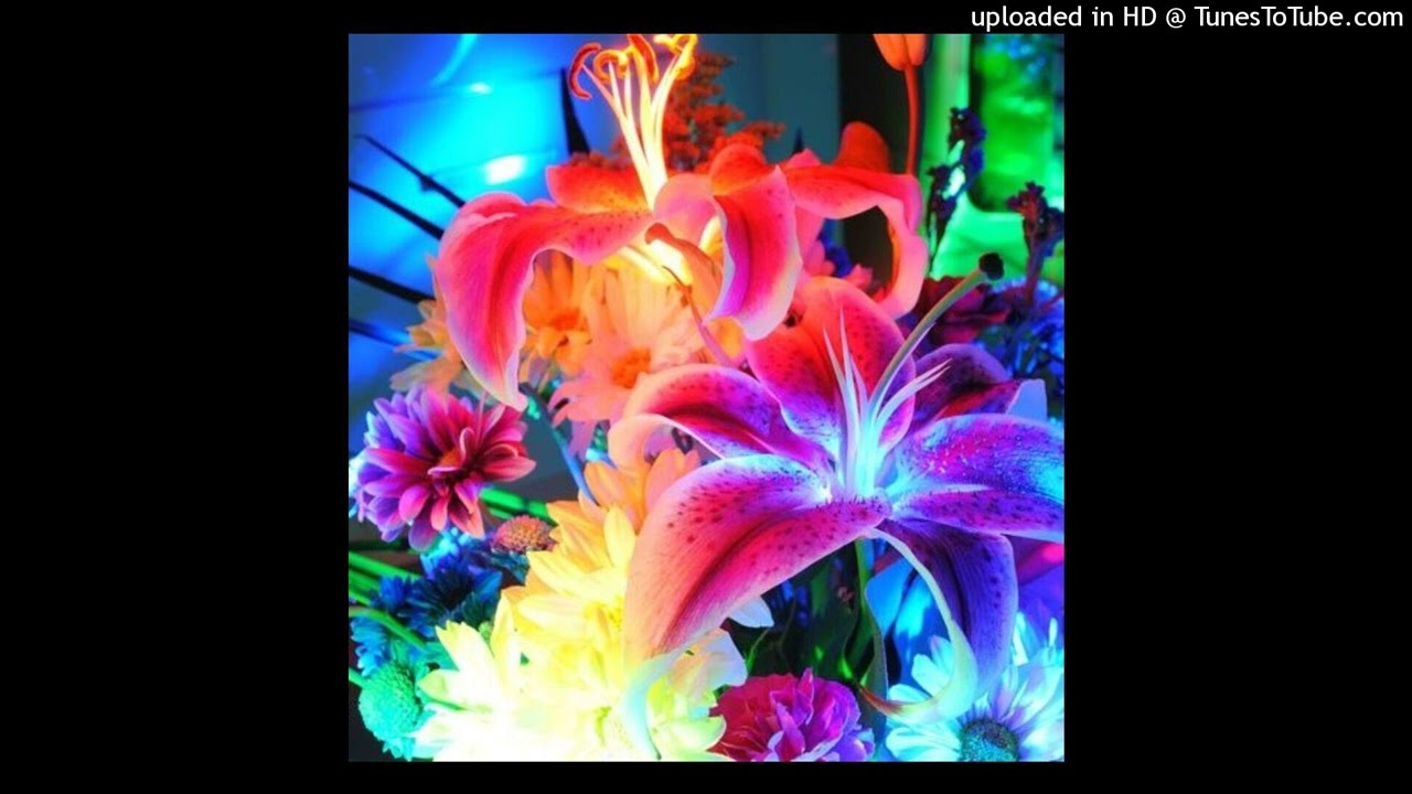 slayr + halfblood + prettifun type beat - blossom