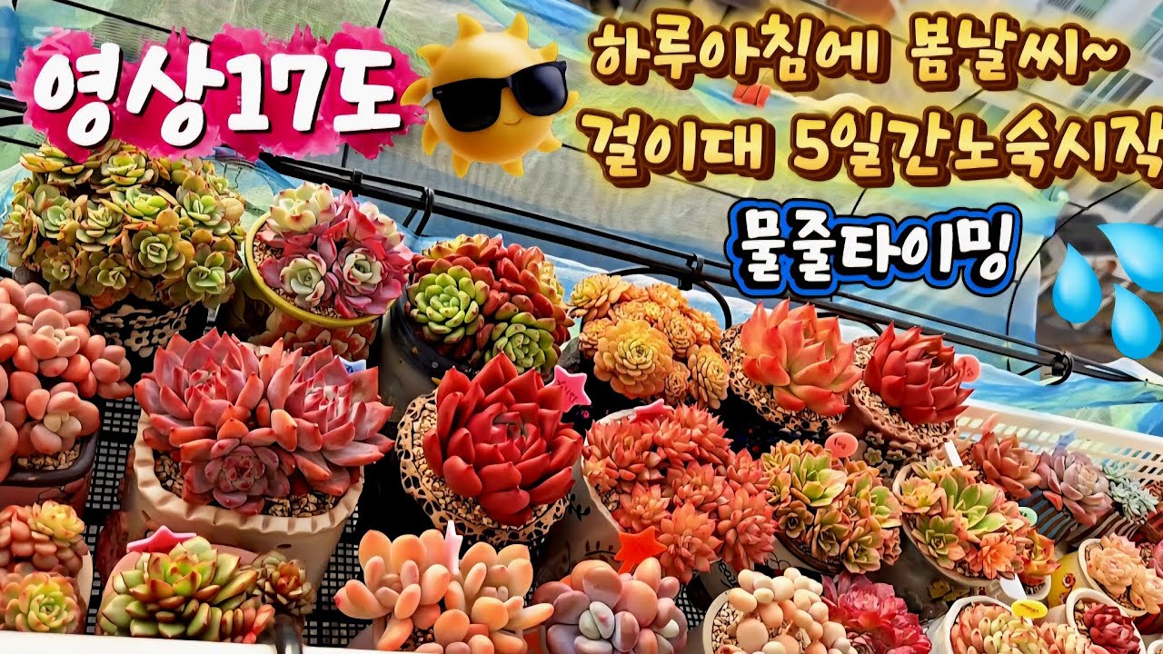 1.15💗겨울노숙🌞5일만하러 나가기🏃‍♀️물타이밍💦