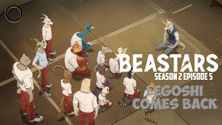 Legoshi comes back | BEASTARS Season 2 Episode 5