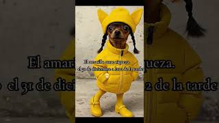 qy que andra de amarillo 🫢 #paratiiiii #añonuevo