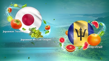 โมชั่นกราฟิก  |  Motion graphic | Deluxe 45s : Meta Skin Eng ver.