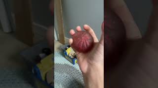 Like an sub !!!!!