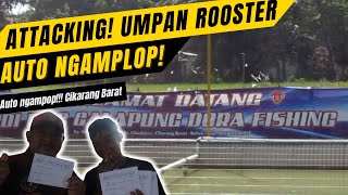 Download Lagu AKHIRNYA ROOSTER MENGUASAI PEMANCINGAN DORA FISHING |CIKARANG BARAT|EDAN MANCING SEBRAK! MP3