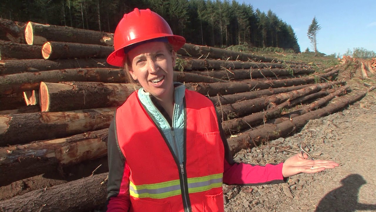 WEYERHAEUSER Minifilm 49 YouTube