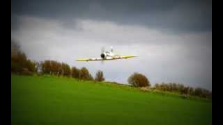 MULTIPLEX DOGFIGHTER RR - Short review