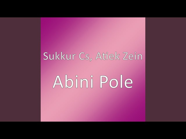 Abini Pole class=
