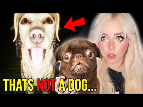 PUPPY PLAYS MORE SCARY DOG HORROR GAMES.... (PART 2) thumbnail