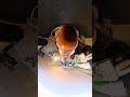 勉強 #asmr #shorts #shortvideo