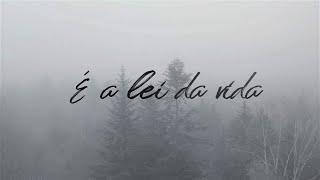 SOOTHING SONG || BRAZILIAN MUSIC||NIGHT MUSIC|| SAD TONE. screenshot 4
