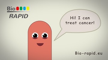 Rapid Bioprocess Development - What is it all about?