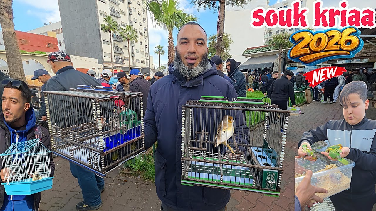 سوق القريعة🔥 أجيو نتولعو ونتعرفو على أتمنة مختلف أنواع الطيور على قناتكم عالم الطيور فرجة ممتعة 