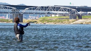 住宅街に幻の魚がいるのか！？【ネイティブトラウト】