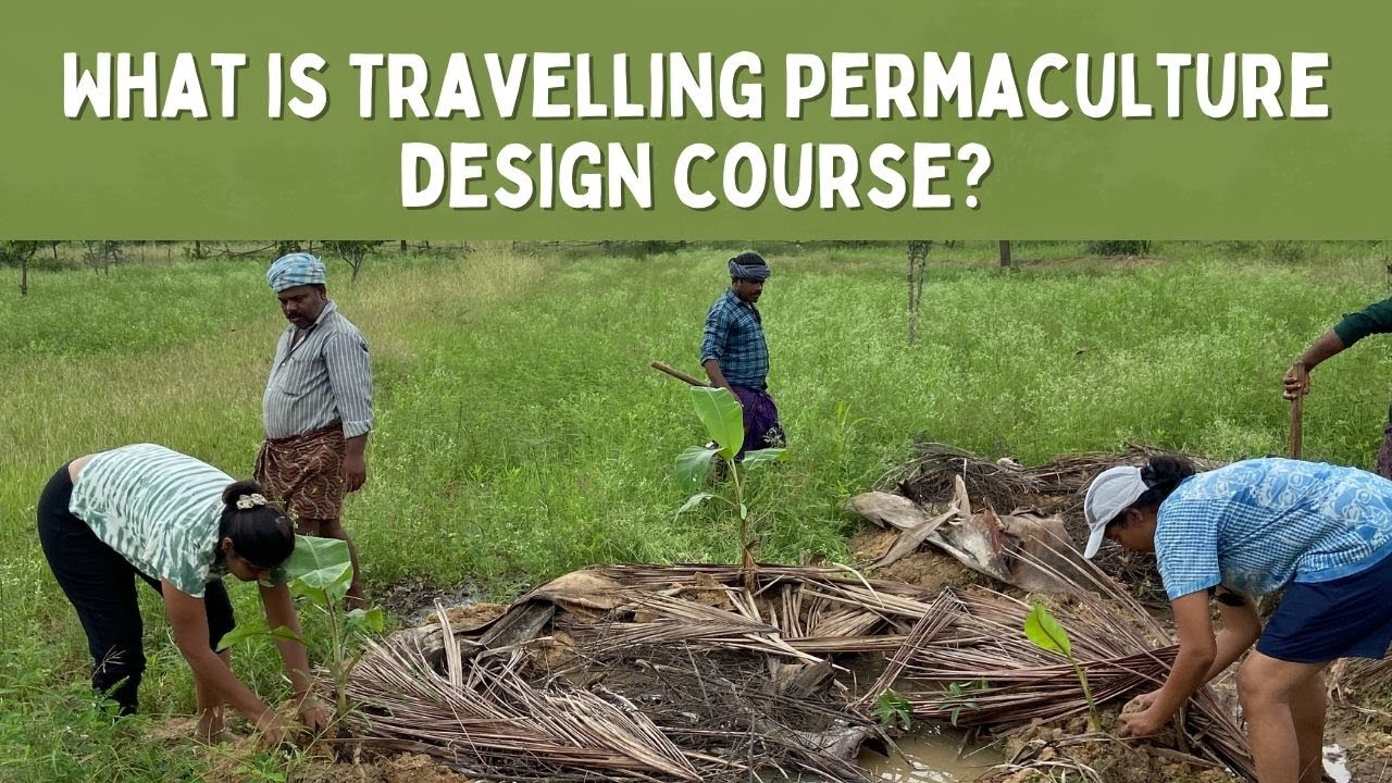 Learn more about Travel Permaculture Design Course Ep- 3 Sneha Rajguru